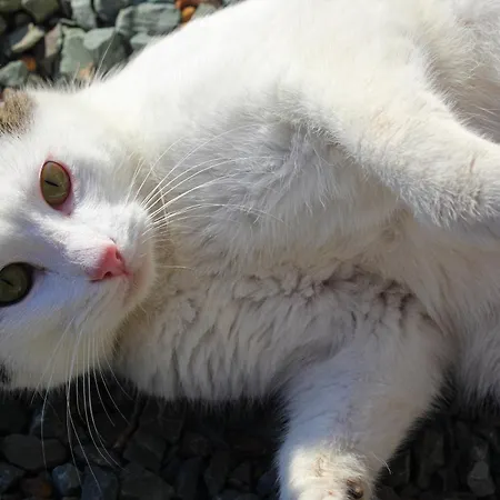 Perryland Urban Farm