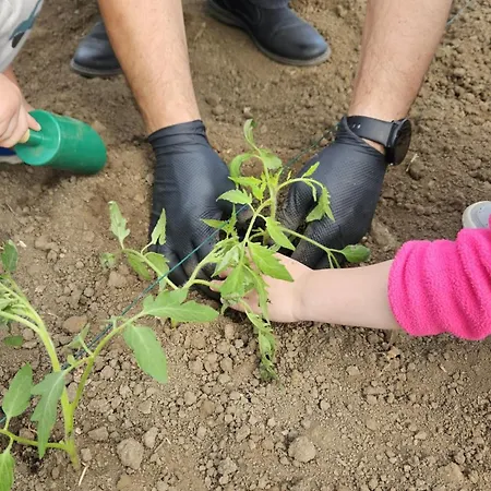 Perryland Urban Farm شاليه *