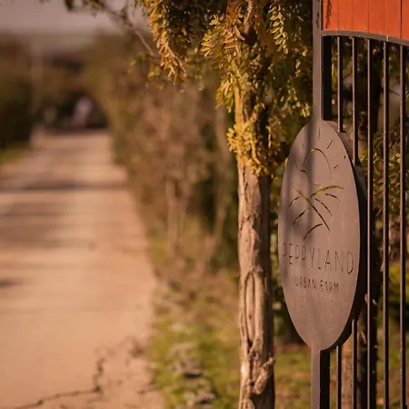 Alpehytte Perryland Urban Farm Piatra (Constanta)