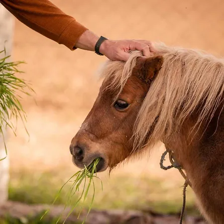 Perryland Urban Farm Piatra (Constanta)