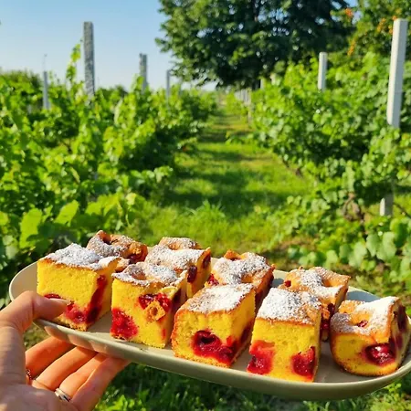 Perryland Urban Farm شاليه Piatra (Constanta)