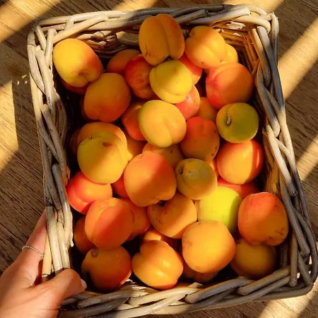 Perryland Urban Farm شاليه *